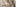2048X900 34512 Int 04 Small